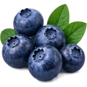 Arándano: fruto y hojas