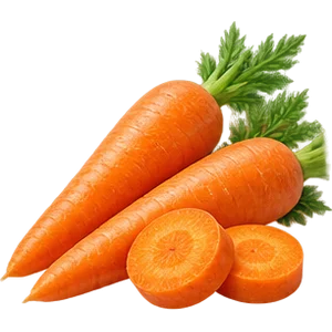 Vitamina A