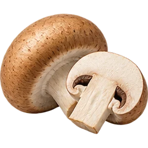 Vitamina B2