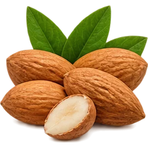 Vitamina E